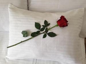 Voodi või voodid majutusasutuse Hotel Continental toas