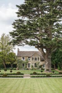 a large tree in front of a house at Thyme in Lechlade