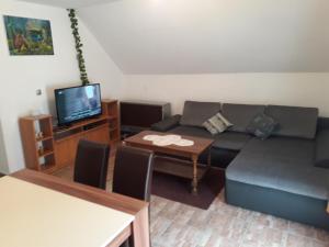 a living room with a couch and a tv at Apartment Mrsinj in Korenica