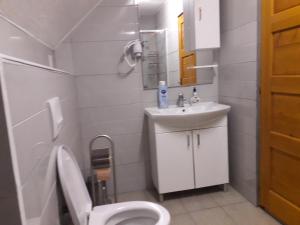 a white bathroom with a toilet and a sink at Apartment Mrsinj in Korenica +18 photos