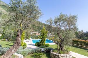 Swimmingpoolen hos eller tæt på Townhouse Virginia