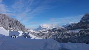 Paesaggio naturale nelle vicinanze dell'appartamento