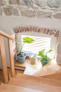 Fotografie z fotogalerie ubytování Guest House Maris ve Splitu