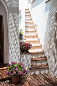 Fotografie z fotogalerie ubytování B&B Il Vicolo v destinaci Anacapri
