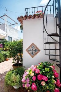 Zahrada ubytování B&B Il Vicolo