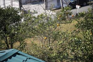 Fotografie z fotogalerie ubytování Sataplia District v destinaci Kutaisi