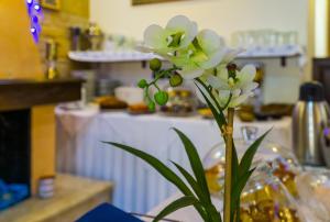 a white flower in a vase on a table at ''EPAVLIS boutique GALAXIDI'' in Galaxidi