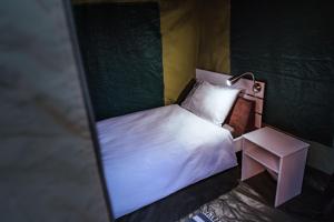 Chameleon Backpackers & Guesthouse tesisinde bir odada yatak veya yataklar
