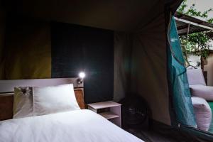Chameleon Backpackers & Guesthouse tesisinde bir odada yatak veya yataklar