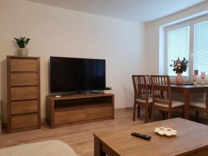 TV a/nebo společenská místnost v ubytování Apartmán U Labe