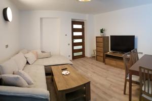 TV a/nebo společenská místnost v ubytování Apartmán U Labe