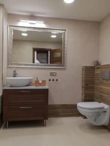 Koupelna v ubytování Apartmán U Labe