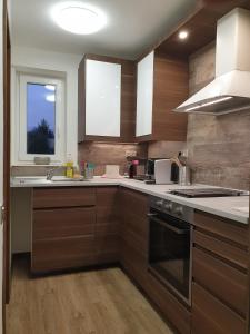 Kuchyň nebo kuchyňský kout v ubytování Apartmán U Labe