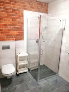 uma casa de banho com um chuveiro e um WC. em Noclegi Stara Wozownia em Piła