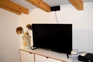 Televízia a/alebo spoločenská miestnosť v ubytovaní Veritas Apartments