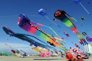 a bunch of kites flying in the sky on a beach at calypso 2 in Berck-sur-Mer