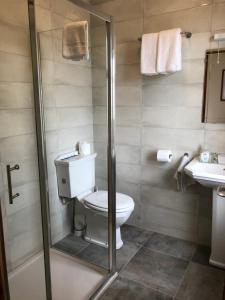 a bathroom with a toilet and a sink at St Martin's, Rosslare Harbour Guest Accommodation in Rosslare