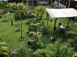 a garden with palm trees and a table and chairs at Hotel y Bungalows ecologicos Marcelo in Santiago Atitlán