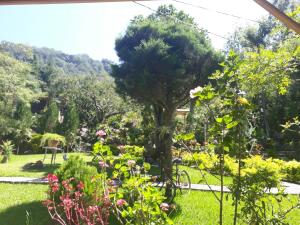 einen Garten mit einem Baum und Blumen im Gras in der Unterkunft Hotel y Bungalows ecologicos Marcelo in Santiago Atitlán