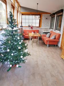 a christmas tree in the middle of a living room at Ferienhaus Bielenski in Blankenburg