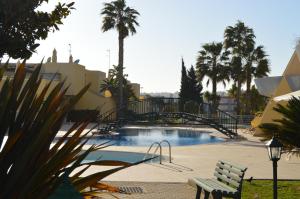 een zwembad met een bankje en palmbomen bij Condomínio do Mar in Lagos