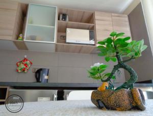 Gallery image of R&V Apartments in Santiago +13 photos