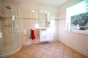 a bathroom with a shower and a sink and a mirror at Ferienwohnung An den Tannen in Bartelshagen +15 photos