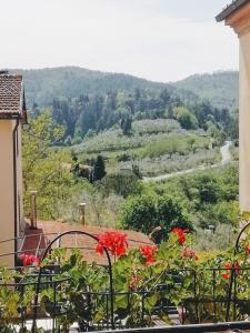 d'un balcon avec des fleurs rouges offrant une vue sur la vallée. dans l'établissement Il ghiro, à Montevarchi