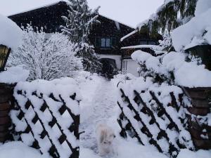 Haus am Moos v zime