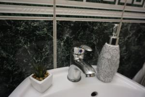 Koupelna v ubytování Deluxe Apartman Pervan