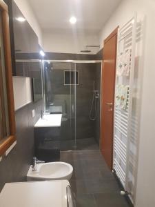 La salle de bains est pourvue de toilettes, d'un lavabo et d'une douche. dans l'établissement Monolocale direttamente sul lago, à Verbania