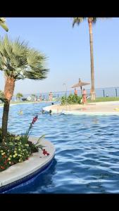 Bazén v ubytovaní MI CAPRICHO A16 Beachfront Apartment alebo v jeho blízkosti