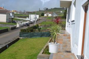 a potted plant sitting on the side of a house at Casa Grande in Angra do Heroísmo