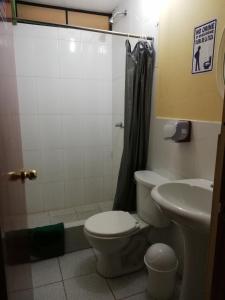 ein Bad mit einer Dusche, einem WC und einem Waschbecken in der Unterkunft Scheler Artizon Trek`s House in Huaraz