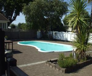 a swimming pool in a backyard with a palm tree at Acorn Estate Motel in Masterton