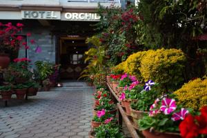 Κήπος έξω από το Hotel Orchid