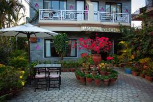Κήπος έξω από το Hotel Orchid
