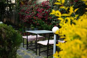 Κήπος έξω από το Hotel Orchid