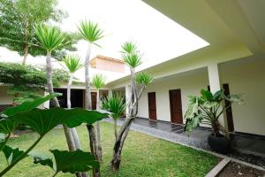 a courtyard of a house with palm trees at RedDoorz Plus @ Demangan Gejayan in Yogyakarta