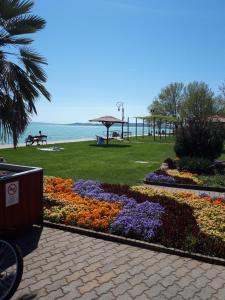 Táj Show holiday homes közelében