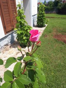 A garden outside Country house Balaton