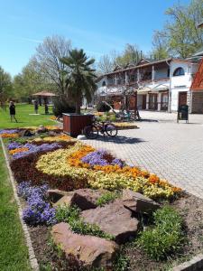 A garden outside Country house Balaton