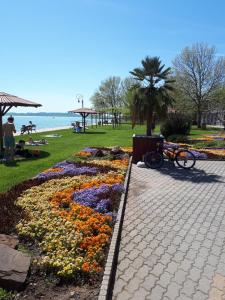 Táj Show holiday homes közelében