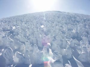 a herd of sheep standing on top of a snow covered field at 伊藤屋 in Zao Onsen