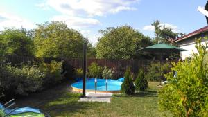 a pool in a yard with an umbrella at Studio Glass Vysočina in Škrdlovice