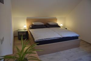 Postel nebo postele na pokoji v ubytování Ferienhaus Saxenauer