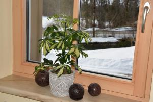 Ferienhaus Saxenauer v zimě