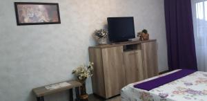 a bedroom with a tv on top of a wooden cabinet at Apartment on Kamyanetskaya street in Khmelʼnytsʼkyy