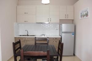 Vila Hadhri Borsh廚房或簡易廚房