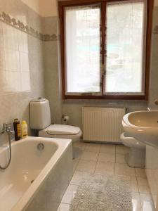 Vannituba majutusasutuses Big Apartment with Lake View and Three Bedrooms +33 fotot